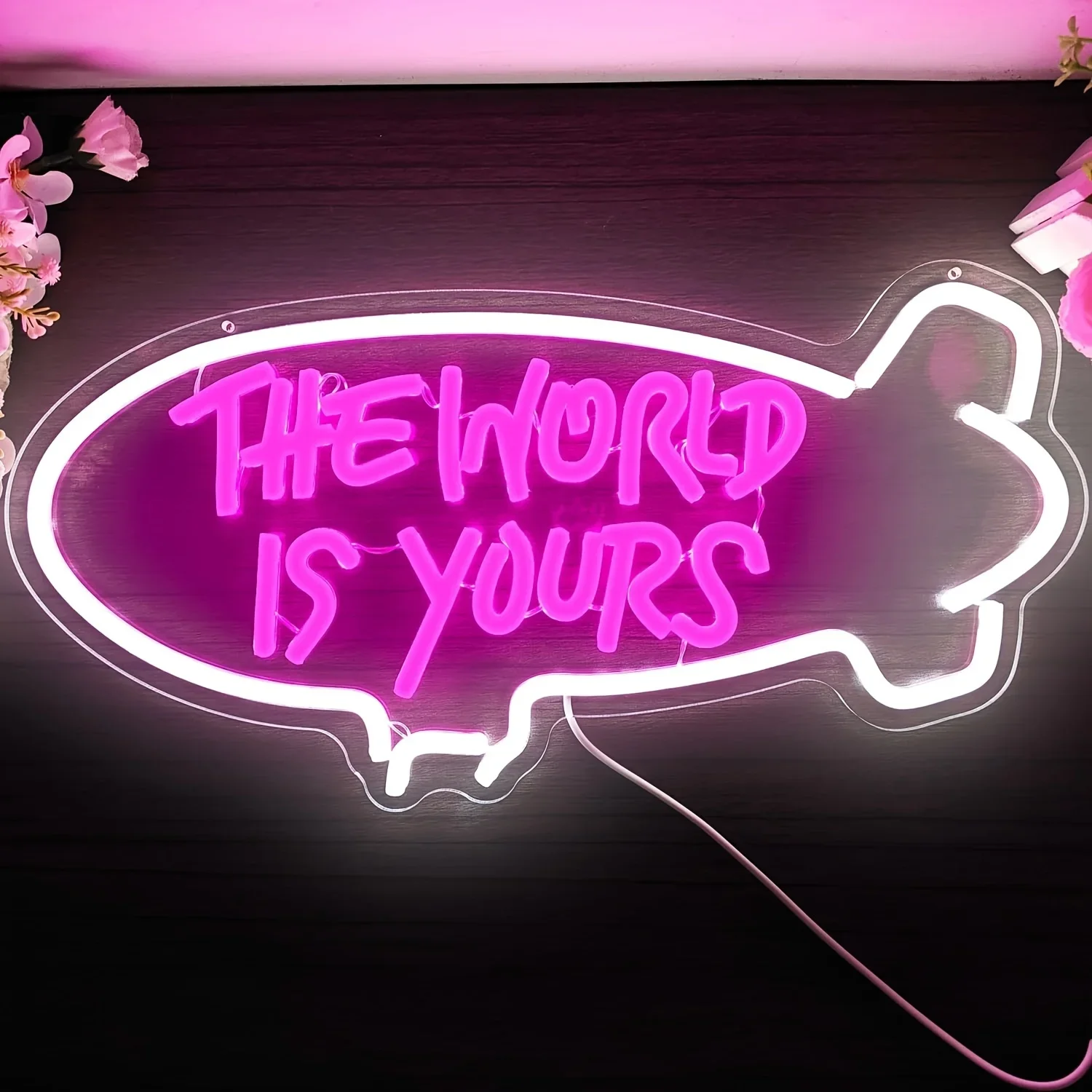 The World Is Yours Blimp Neon  - Outdoor Lighting For Your Home 评论和价格