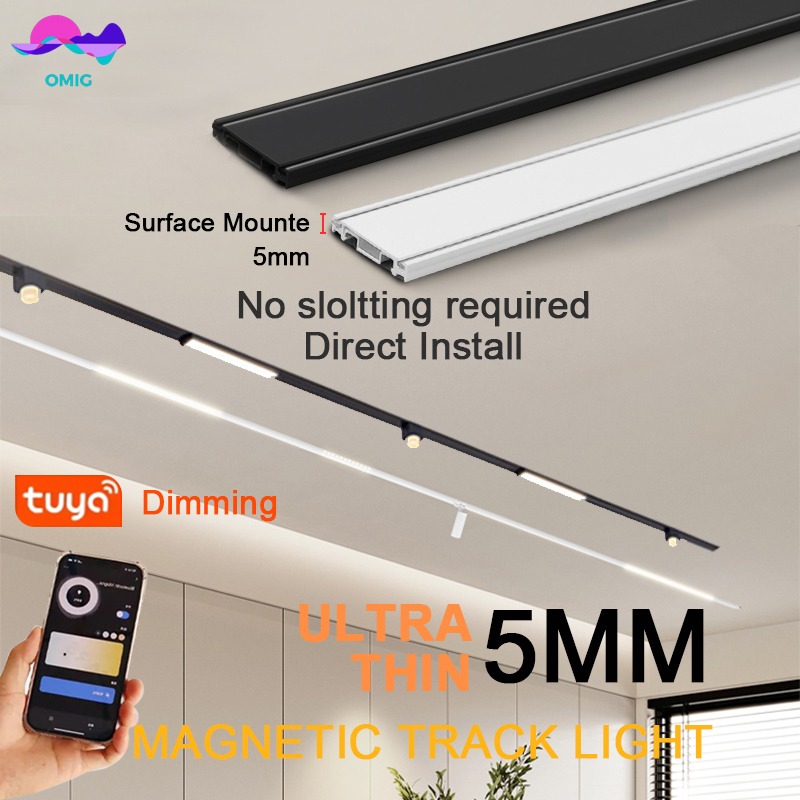 Smart Magnet Track Rail Lights - Outdoor Lighting Track 评论和价格